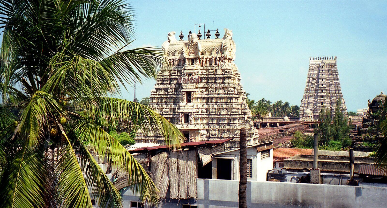 Two carved temple gopurams rising above low rooftops, with a coconut palm in the foreground